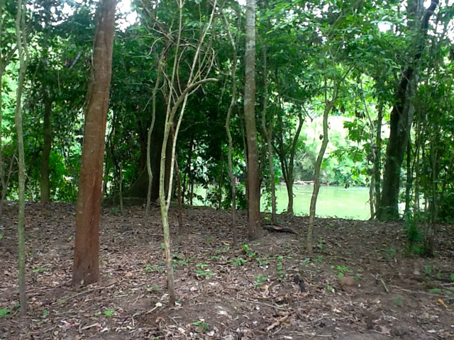 Calla Point