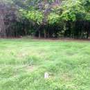Calla Point