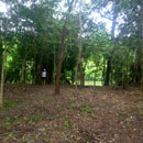 Calla Point